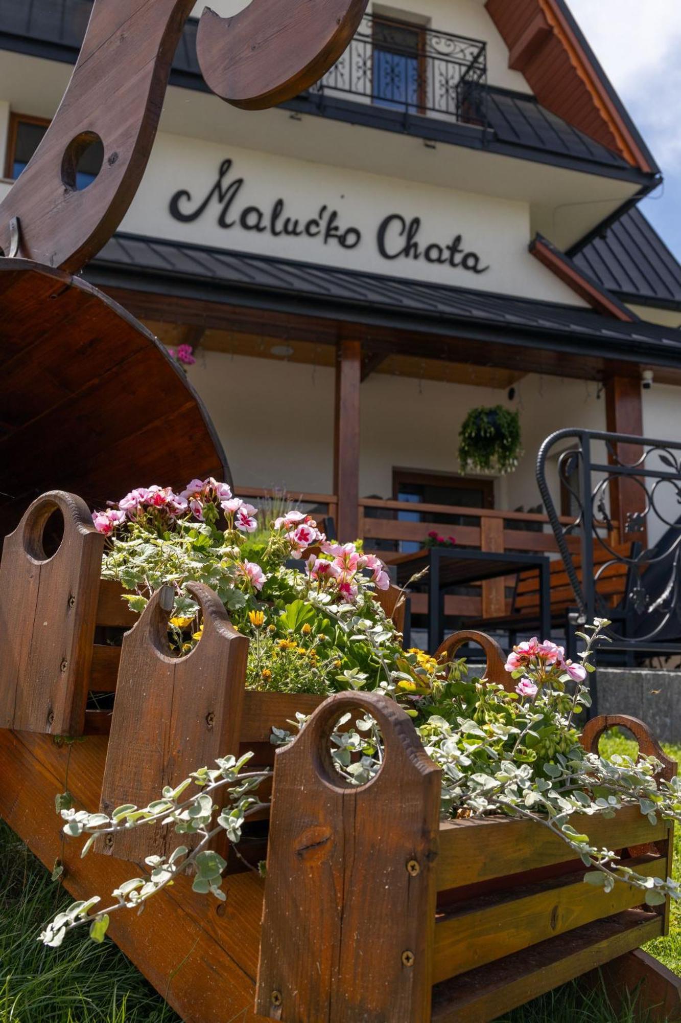 „Malucko Chata” Закопане Экстерьер фото